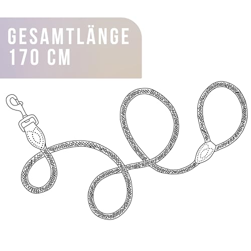 ne&no Tauleine 1.7m (leicht dehnbar) für mittelgroße bis ganz große Hunde I Trainingsleine I Hundeleine robust I Führleine rund, geflochten I Seil Leine Hund I Cityleine I Dog Leash Taupe, 170 cm