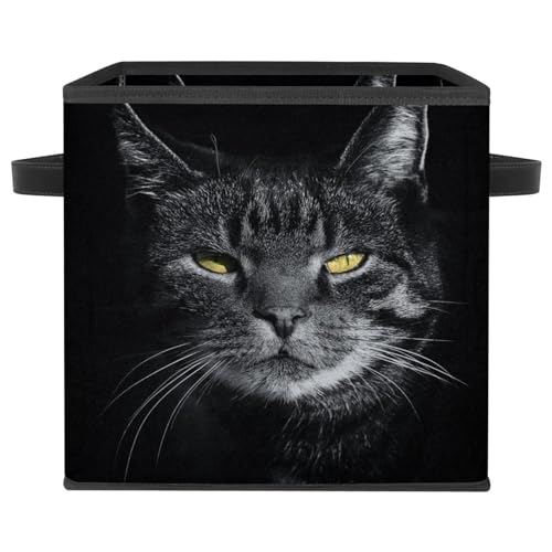Boîte de rangement pliable chat gris pour placard et chambre - 2