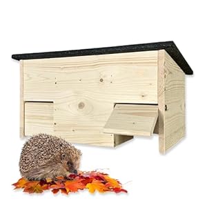 Gartenetage Igel-Futterhaus mit Rattenklappen