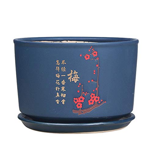 Pot de fleur en céramique anti-humidité pour cactus et bonsaï