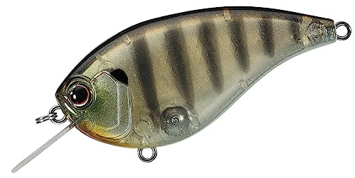 Canne à pêche Daiwa Evergreen Flat Force 1,2 m Baby Ghost Gill leurre carnassier