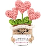 WITCOLOR Dankeschön Geschenk für Frauen & Männer – Mini Gehäkeltes Herz im Topf mit Positiver Karte – Handgemachtes Dankeschön für Lehrer, Erzieherin, Pflegekräfte, Kollegen, Mentor & Chef