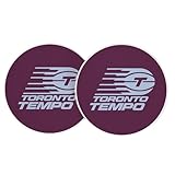 Desert Cactus Toronto Tempo Car Accessories WNBA Women's Basketball League Absorbent Sandstone Cup Coasters Licensed Product Set of 2 (Design D)