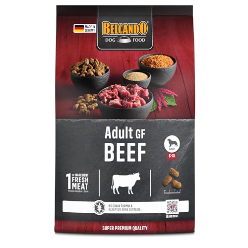 Belcando Adult GF Beef [4 kg] Cibo per cani senza cereali | Cibo secco senza cereali con manzo | Alimento completo per cani adulti di almeno 1 anno