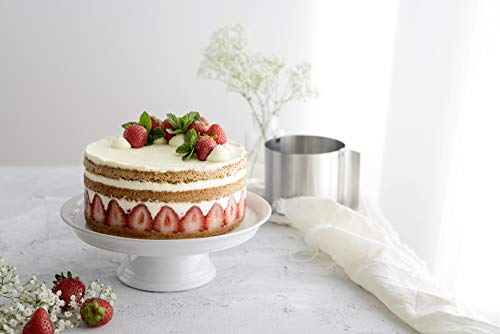 Anillo para postres ajustable de 10-18 cm en acero inoxidable para capas 6