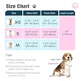 Pawaboo Hundegeschirr mit Hundeleine Set, X-Rahmen Verstellbares Anti Zug Anti-Erstickung Hund Brustgeschirr für Kleine, Mittelgroße Hunde & Welpen, Hundeweste mit Leine, M, Bunter Leopard