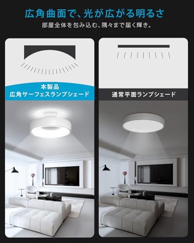 禄越 シーリングライト LEDCL-DP06-BK の商品画像 2