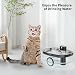 6Pcs Hundebrunnen-Filter, kompatibel mit Dwarfuarm 5L Haustier-Wasserbrunnen