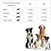 QLXYYFC Ausziehbare Hundeleine, 5 M, 360° Verwicklungsfreie Verlängerte Leine, Rutschfester Griff und Bremsknopf, Geeignet für Kleine und Mittelgroße Hunde Bis Zu 25 Kg (Color : Brown, Size : 5m)