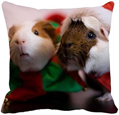 Decrotive Pillow Cases Santa Guinea Pig Cushion Cover 18" x 18"