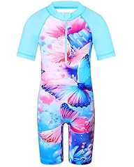 A2 524 Blue Butterfly