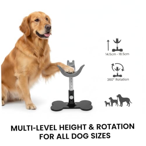 Support d'élevage pour chiens silicone gris réglable hauteur bain