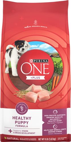 Image of Purina ONE Puppy Food, High Protein Formula | Natural Ingredients | Added Vitamins | 8 lb Bag | Pack of 2