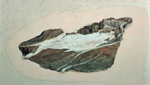 Tableau impressions d'art mural étude de roche quartz John Ruskin poster 60x90cm