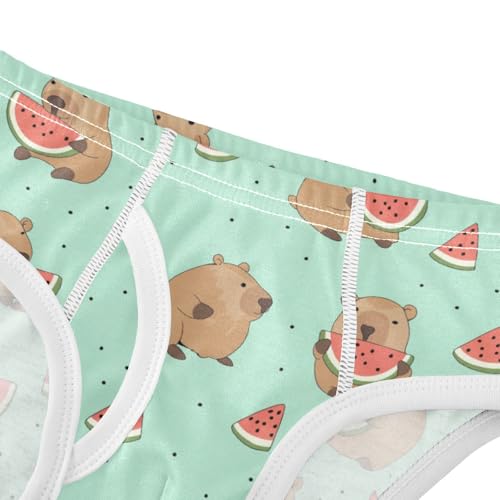Wusikd Cute Capybara Boys' Underwear Cotton Watermelon Boys Briefs Soft Toddler Underwear 2T4