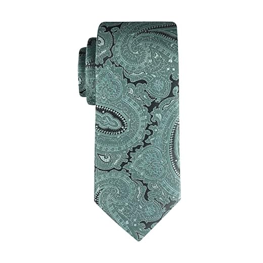 Haggar Mens Classic Regular Solid, Paisley, and Plaid Necktie, Sage Paisley, One Size US