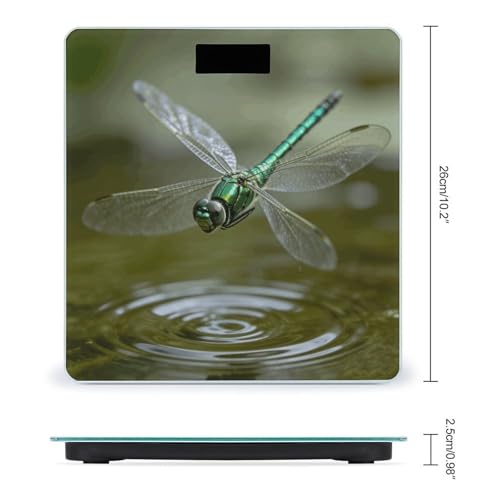 Báscula digital para baño con pantalla LCD grande miniatura 2