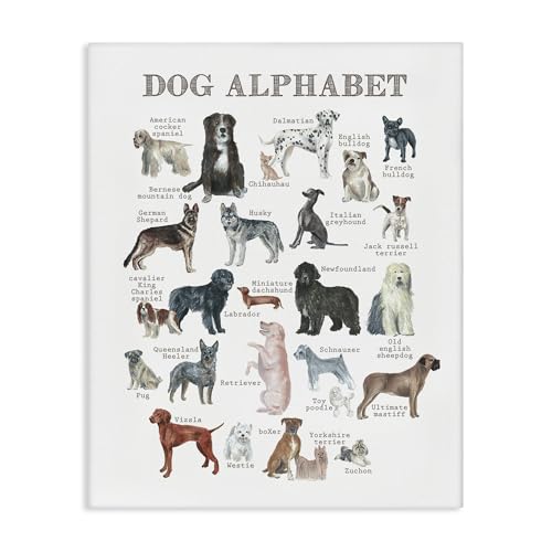 Image of Stupell Industries 'Dog Alphabet Multiple Breeds Educational'| Canvas Art | Stupell Industries | 30 x 40 Inches, Easy to Hang and Sturdy, Made in USA, by Dishique
