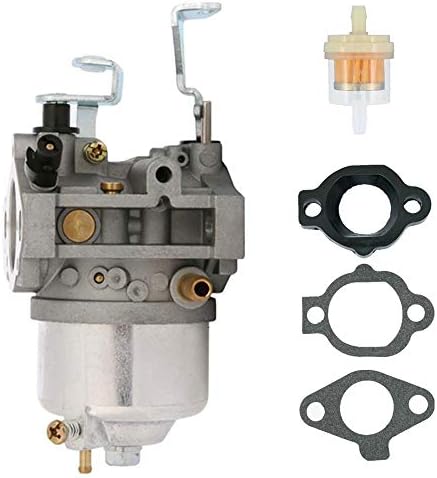Yomoly 716116 Carburetor Compatible with Briggs & Stratton 246432-0035-E1 246435-0112-B1 246437-0084-B1 246435-0111-E1 246437-0084-E1 Power Equipment Carb