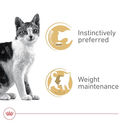 Royal Canin Feline Health Nutrition Adult Instinctive Adult Thin Slices in Gravy Cat Food, 3 oz (Pack of 24)