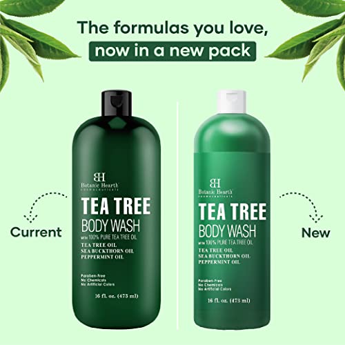 Botanic Hearth Tea Tree Body Wash, Helps Nail, Athletes Foot, Ringworms, Jock Itch, Acne, Eczema & Body Odor, Soothes Itching & Promotes Healthy Skin And Feet, Naturally Scented, 16 Fl Oz 2 Pack #TOP7