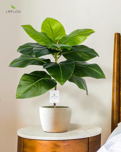 Leflos 60cm árbol de Magnolia Artificial para Interior, árbol Artificial Tropical en Maceta Blanca