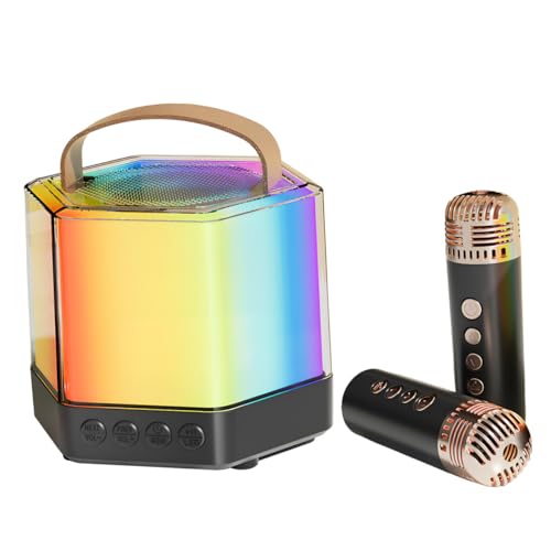 Karaoké portable sans fil FRCOLOR compact noir pour chanter en duo lors de vos soirées