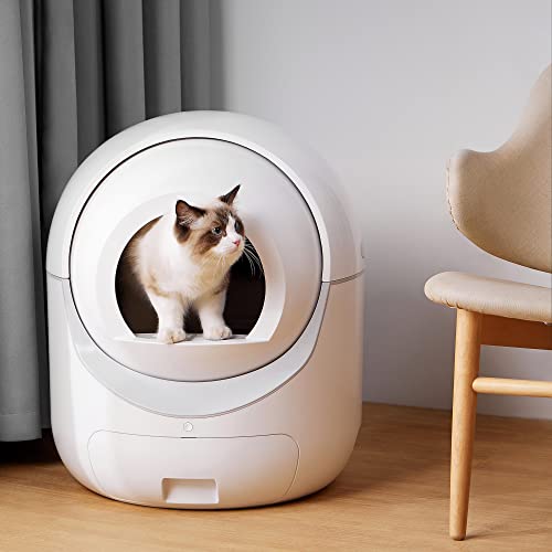 Top 10 Best Auto Scooping Litter Box Reviews & Buying Guide Katynel