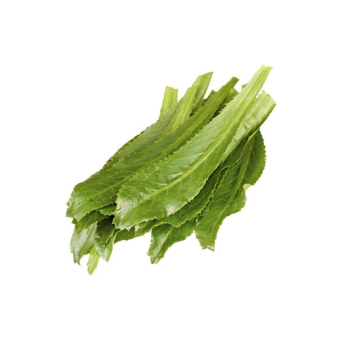 Buy CULANTRO, LEAVES, shado beni Online at desertcart UAE