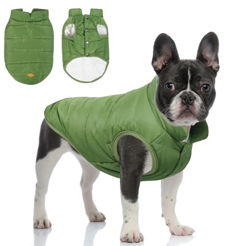 meioro Giacca per cani, calda giacca invernale foderata per cani, gatti, animali domestici, bulldog francese, carlino (M, verde)