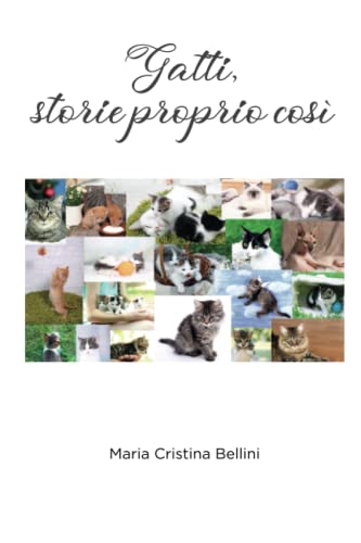  Gatti, storie proprio così