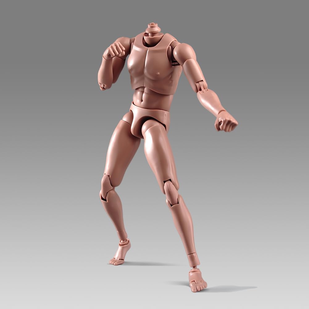 1:6 Scale Muscle Male Action Figure Asian Skin 12 Inch Flexible Male Figure Body Doll Miniature Figure Without Head Sculpt