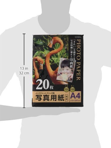 Amazon.co.jp: 写真用紙 光沢 A4版 20枚入り PA-PRC-A4/20 : 文房具