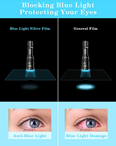 2 Pack Macbook Air 13.6 Inch Anti Blue Light Screen Protector ，Anti Glare Film/Anti Scratch Laptop Screen Protector Compatible With Macbook Air 13.6 Inch M2 Chip 2022 Released A2681-Eye Protection Blue Light Blocking Matte(Pet) #TOP5