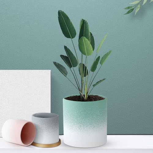 Pots de fleurs créatifs pour sublimer votre salon moderne