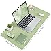 Bloss Green Desk Mat, Desk Matt for Desktop, Large Leather Desk Pad, Desk Pad Mat Waterproof, Computer Mat for Office Work/Home/Decor (31.5 x 15.7 Inches)
