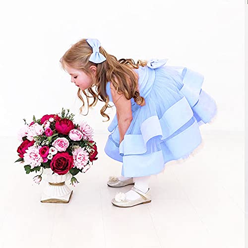 Nssmwttc Baby Girl Easter Backless Dresses Bowknot Toddler Ball Gown Ruffles Christmas Formal Dress Tutu Frocks (Blue,80) #TOP4