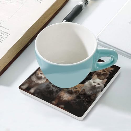 Dessous de verre chat réutilisables pour table basse lot de 4 protège-table lavables