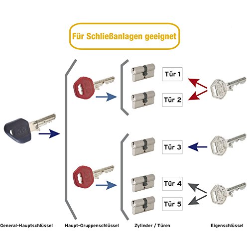 Gege, Pregiato, profesioneller