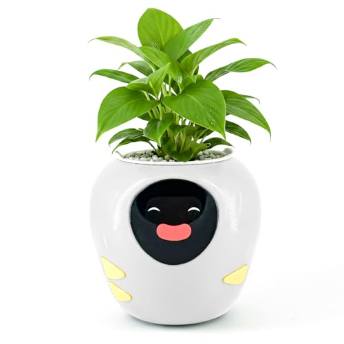 Plantbot Maceta Inteligente Grande Mejorada Robot Mascota Plantador con Inteligencia...