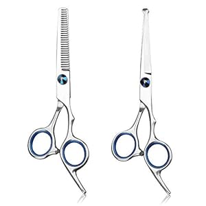yidenguk Verzorgingsschaar voor huisdieren 2 stuks roestvrijstalen hondenhaar trimschaar Pet Grooming Schaar Professionele haarknipschaar voor honden of katten met 6,6-inch dunschaar rechte schaar