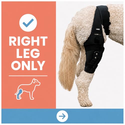 Image of Labra Dog Canine Knee Stifle Brace Wrap, Metal Splint Hinged Flexible Support Brace for K9 ACL, CCL, Luxating Patella, Cruciate Ligament Sprains in Back, Rear, Hind Leg (Medium - 30-50lbs)
