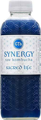 GTS LIVING FOODS Organic Sacred Life Kombucha, 16 Fl Oz