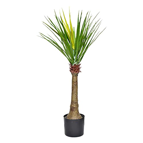 Image of Kayra Decor 3 Feet Cactus Plant -Big Plants for Living Room Artificial with Pot (Black)