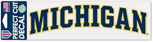 WinCraft NCAA University Michigan Wolverines Slim Can