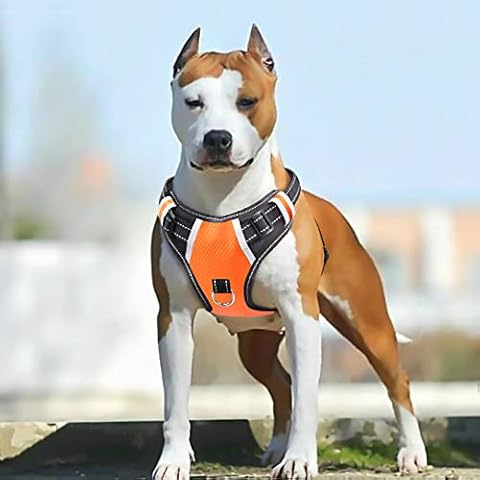 PENGDA Hundegeschirr Grosse & Mittelgroße Hunde Zuggeschirr Hundesport Gepolstert Brustgeschirr No Pull Geschirr Hund Verstellbares Cover
