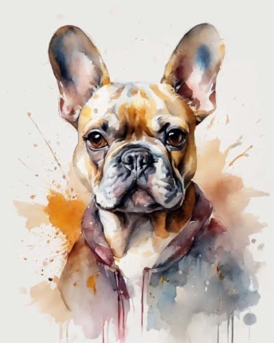 ZMHZMY Paint by Numbers DIY French Bulldog Art Oil Painting Home Decor 40x50cm Frameless
