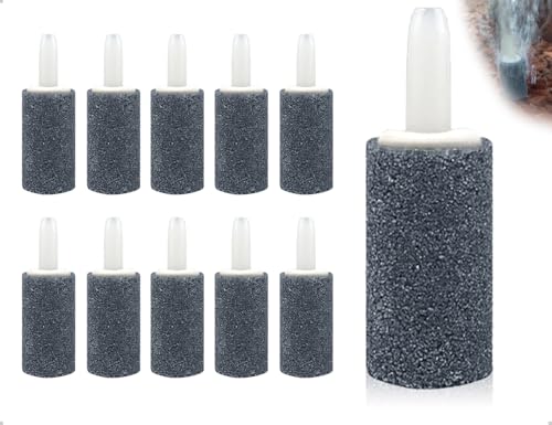 AOYEGIC 10 Stück Luftstein für Aquarium,Luftausströmer Sprudelstein für Aquarium,Blase Diffusor Release Tool,verwendet für Familie Teich Hydroponik(15 mm,Zylinder) AOYEGIC 10 Stück Luftstein für Aquarium,Luftausströmer Sprudelstein für Aquarium,Blase Diffusor Release Tool,verwendet für Familie Teich Hydroponik(15 mm,Zylinder)