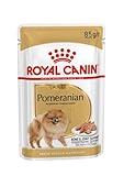 Royal Canin Pomeranian Adult | 12 x 85 g | Aliment complet pour chiens (mousse) | Pour Spitz adultes et âgés | À partir de 8 mois | Teneur en minéraux adaptée