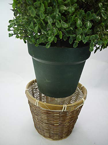 image for Admired By Nature ABNT002B-NTRL 3’ Artificial Boxwood Leave Topiary 